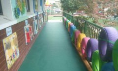 山东省潍坊市幼儿园室外小猪视频官网下载