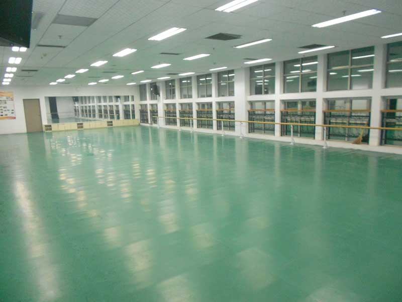 河北保定市河北大学艺术学院舞蹈小猪视频官网下载