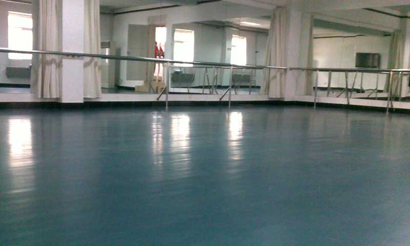 北京海淀区CCTV7农影中心pvc运动小猪视频官网下载