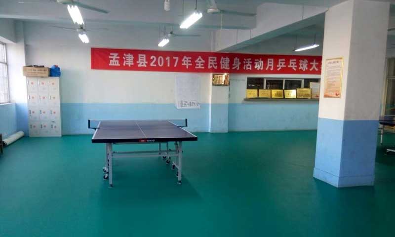 乒乓球塑胶小猪视频官网下载市场已经白热化