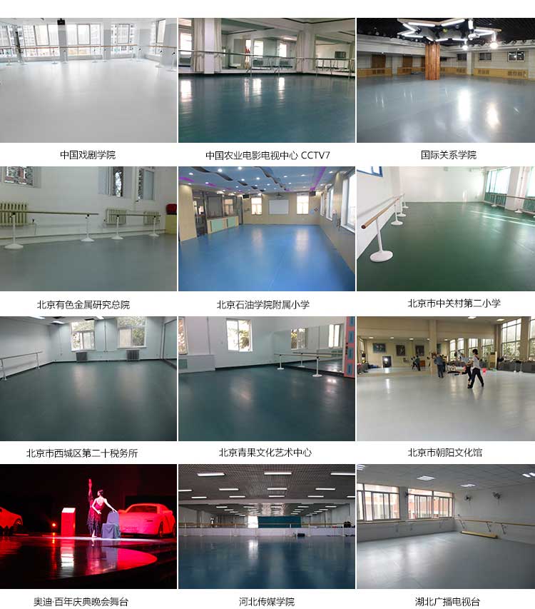 舞炫系列舞蹈地胶 舞炫系列·舞蹈小猪视频官网下载_舞台小猪视频官网下载