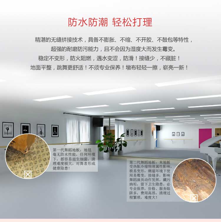舞炫系列·舞蹈小猪视频官网下载_舞台小猪视频官网下载