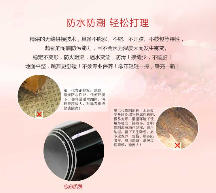 高亮系列·舞蹈小猪视频官网下载_舞台小猪视频官网下载